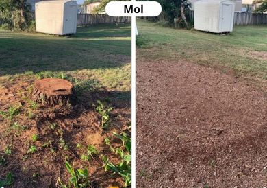 4 Boomstronk Verwijderen Kempen before after 2