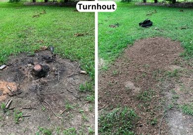 5 Boomstronk Verwijderen Kempen before after 2